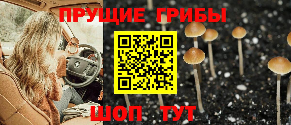 Галлюциногенные грибы Magic Shrooms  Вход с VPN  Карпинск 
