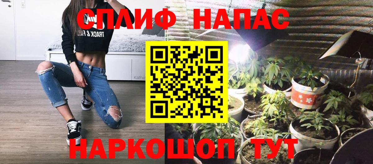 Бошки Шишки семена  Вход с VPN  Канабис AK-47  Бошки Шишки план  Канабис план  Карпинск 